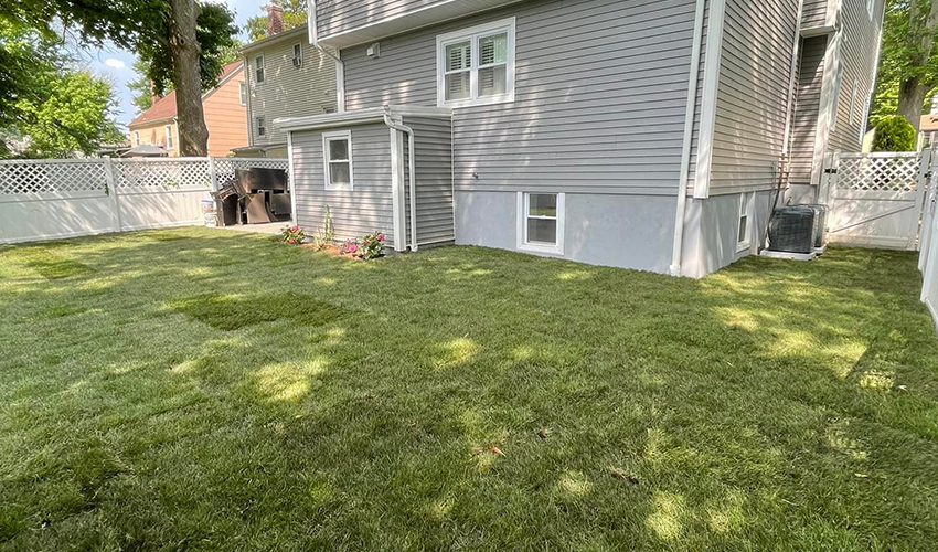 Removal Yard